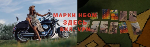 ПСИЛОЦИБИНОВЫЕ ГРИБЫ Балахна