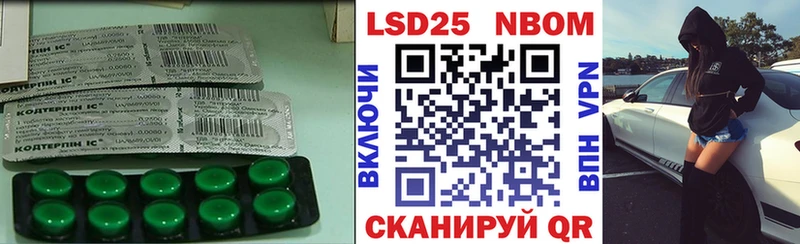 дарнет шоп  Эртиль  ЛСД экстази кислота 