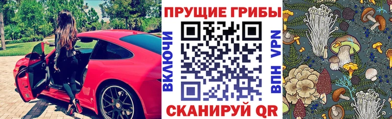 Псилоцибиновые грибы Psilocybine cubensis  маркетплейс какой сайт  Эртиль  дарнет шоп 